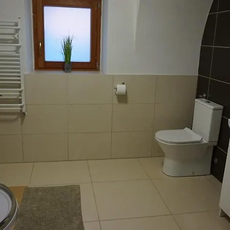 Pod Kasztanami Villa Miedzylesie  Exterior photo