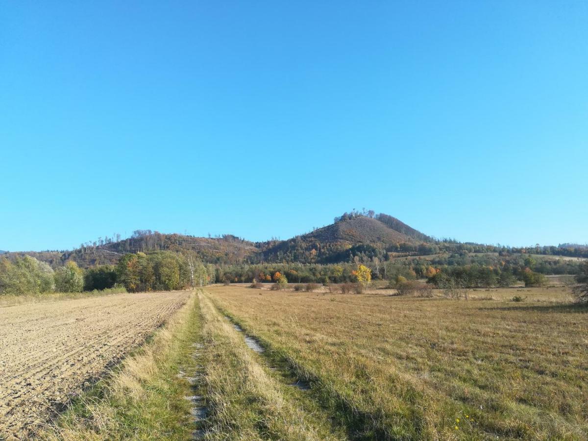 Farm stay Pod Kasztanami *